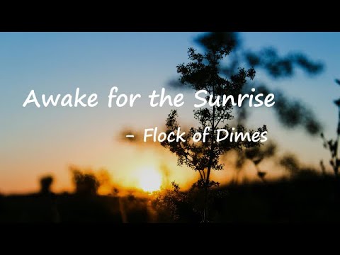 Flock Of Dimes - Awake for the Sunrise Lyrics