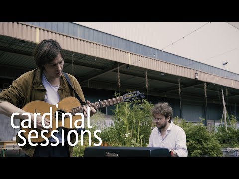 Moritz Krämer - Um raus zu sein - CARDINAL SESSIONS