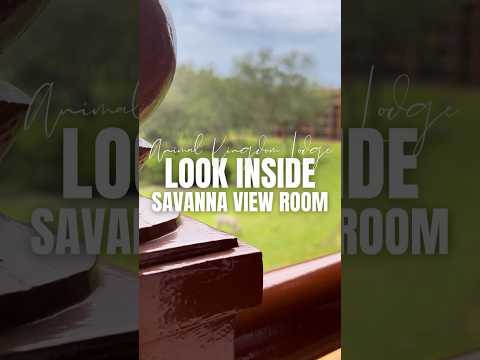 SNEAK PEEK! Savanna View Room Tour At Animal Kingdom Lodge #animalkingdomlodge #resorttour