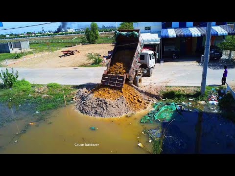 Started up!! Dump truck 5TON drop soil delete floodland to develop land pour by old power dozer D20P