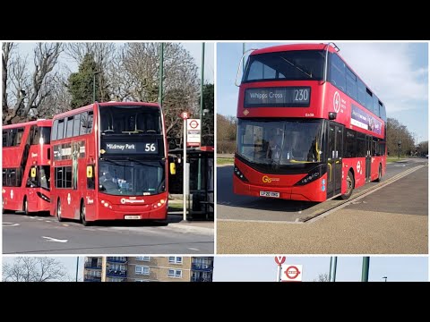 Buses at Whipps Cross