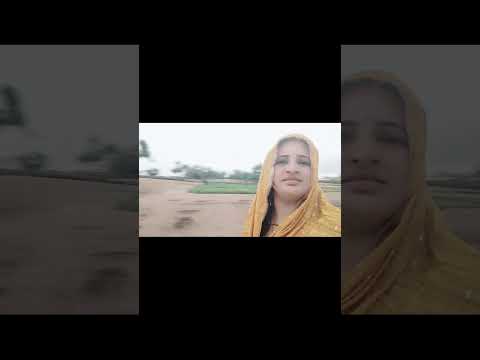 आज बहुत जोर को सुटो आयो म्हारे तो बहुत नुकसान हो गया ।।#viralvideo #barsat #villagelife