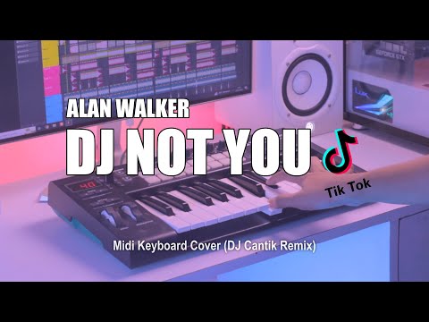 DJ Not You Alan Walker Tik Tok Remix Terbaru 2023 (DJ Cantik Remix)