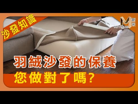 #新采家具小常識 一定要懂得沙發常識【新采精品家飾】