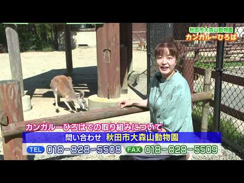 カンガルーもにっこり！“カンガルーひろば”の健康的な取り組みを紹介！