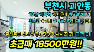 [부천빌라매매] NO.452 부천시 괴안동 급매 1억 중후반 대형평수 소사역 역곡역 더블역세권 사이즈 굿 재래시장 인접 신축급 수리 되어 있는 현장 초급매 [괴안동매매]