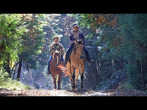 ＜路×旅 ミチタビ #9＞ 馬と歩む、安らぎの時間　乗馬クラブ（丹波篠山市）